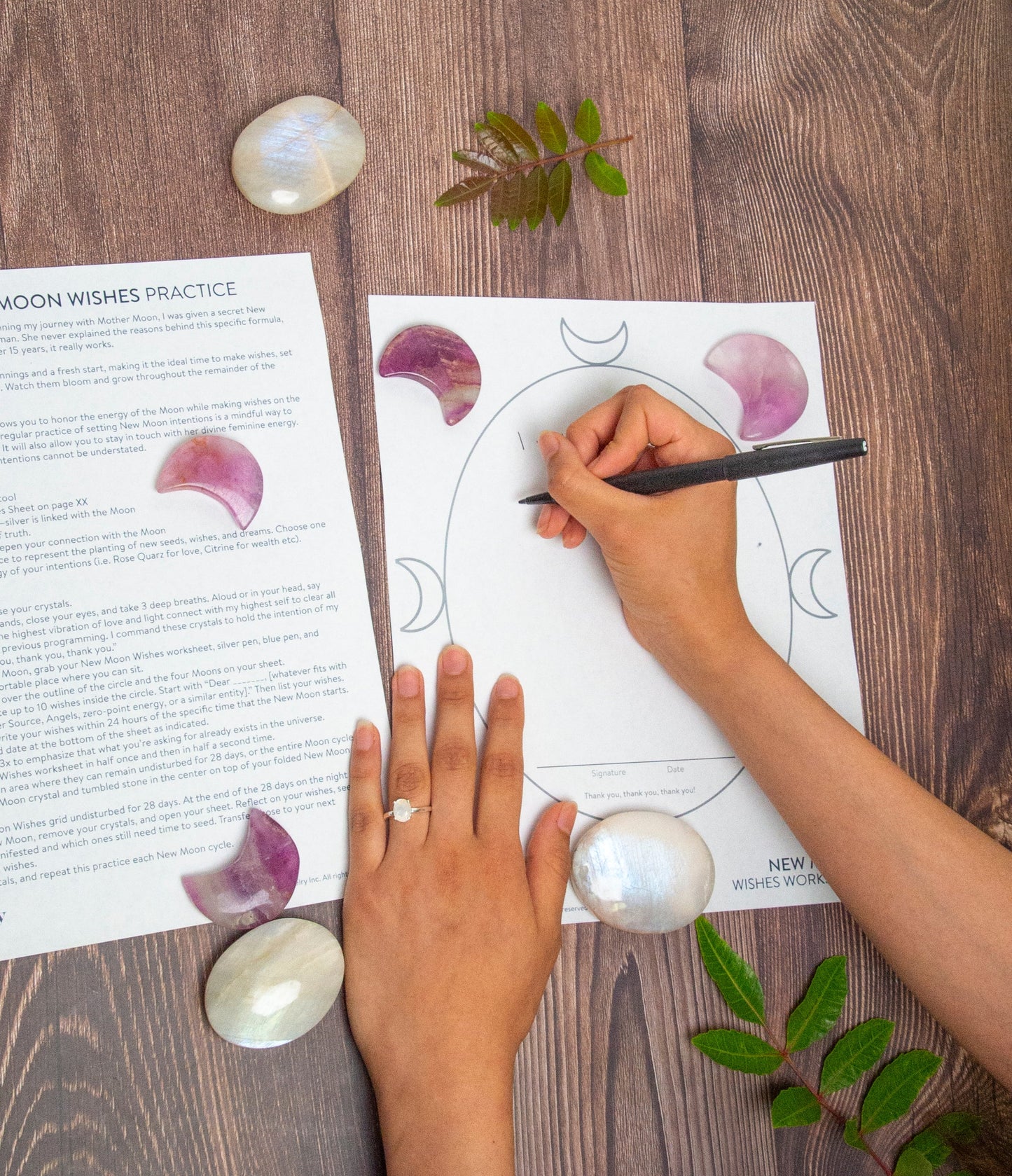 New Moon Wishes Worksheet PDF Download