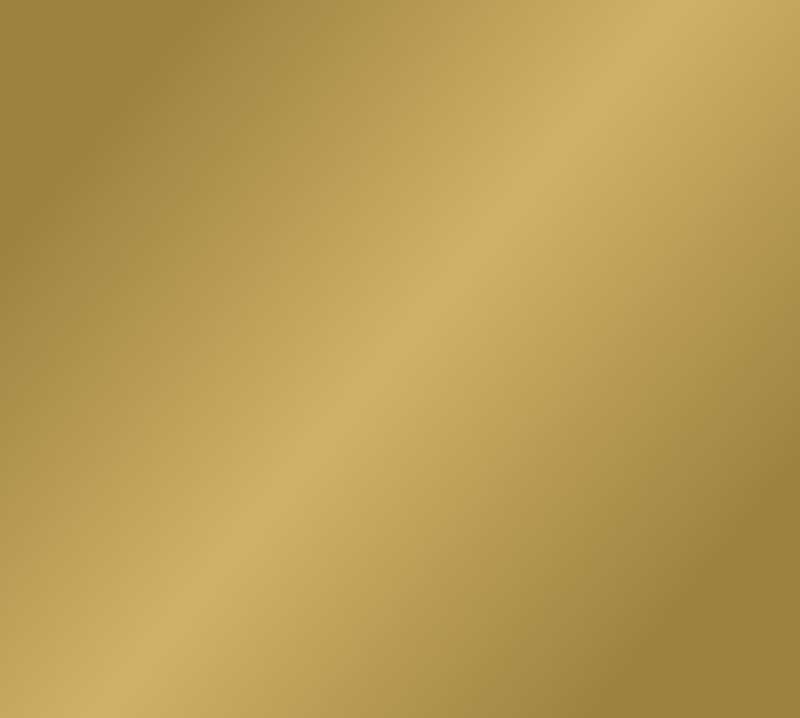 12" Gold - EasyWeed EcoStretch HTV