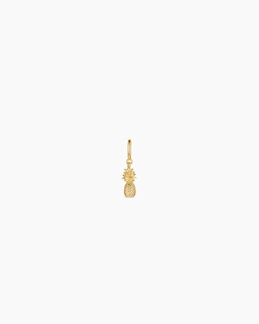 Pineapple Parker Charm