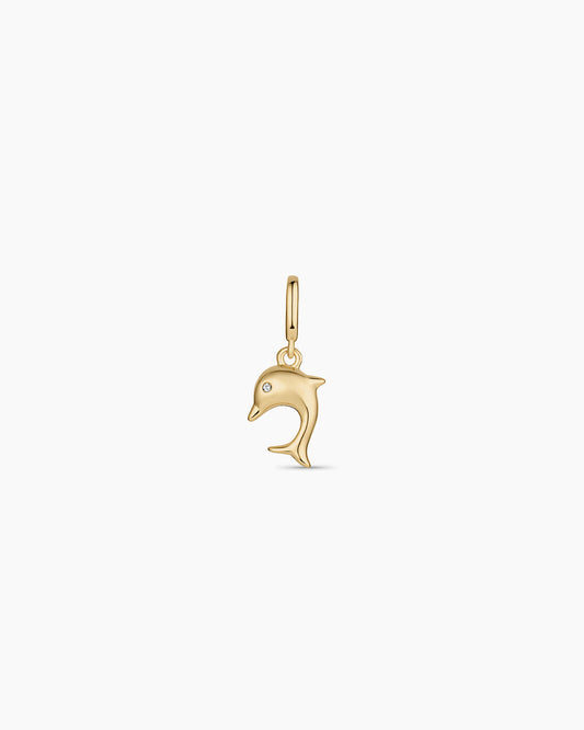 Dolphin Parker Charm