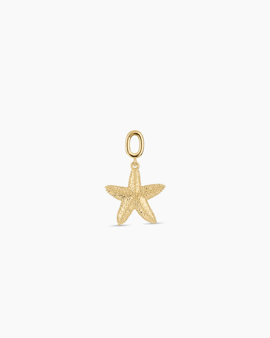 Starfish Statement Parker Charm