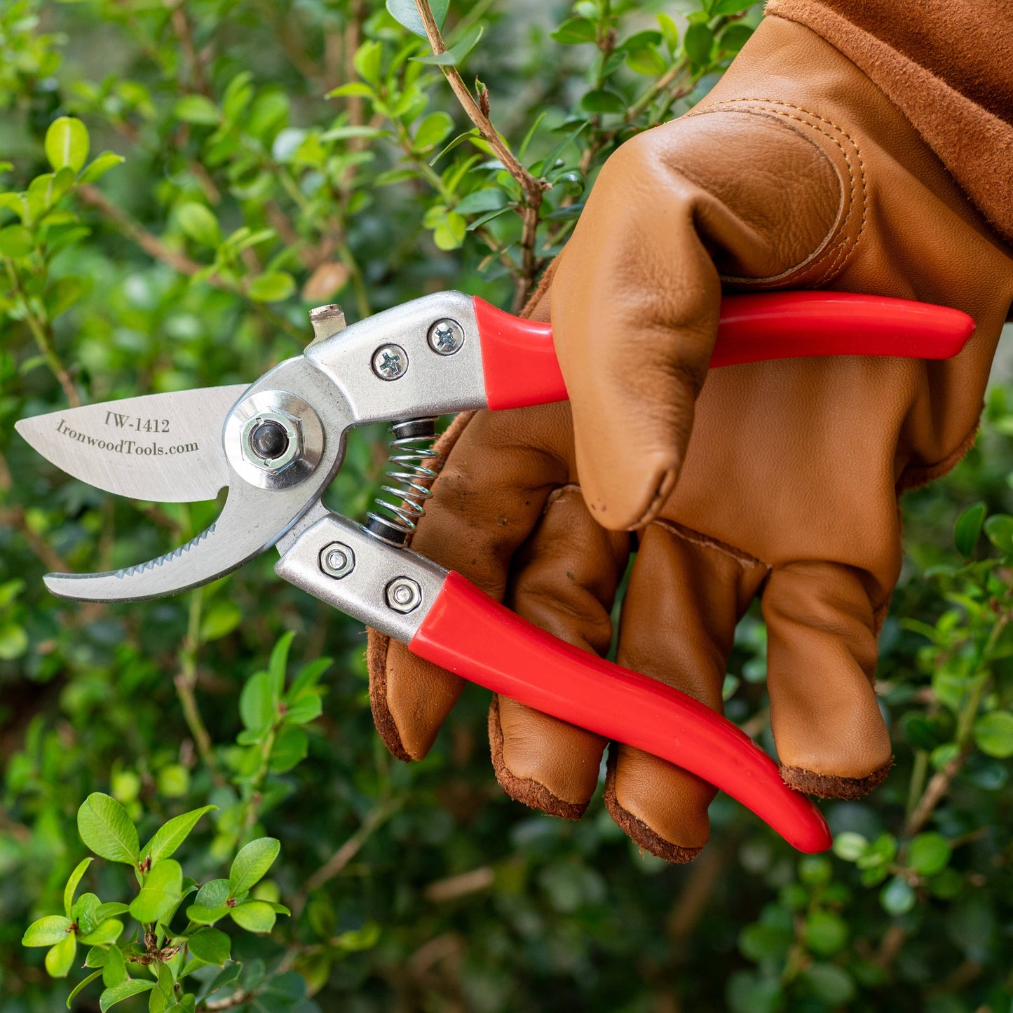 Ironwood 7" Quick Release Bypass Pruner