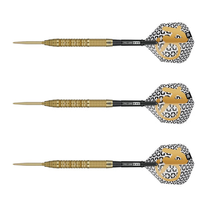 TARGET - 24g - Bolide Envy SP01 - Steel Tip Swiss Point - 90% Tungsten Darts