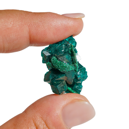 Dioptase Crystal
