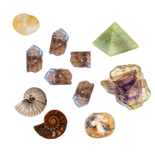 Jupiter Grid Bundle