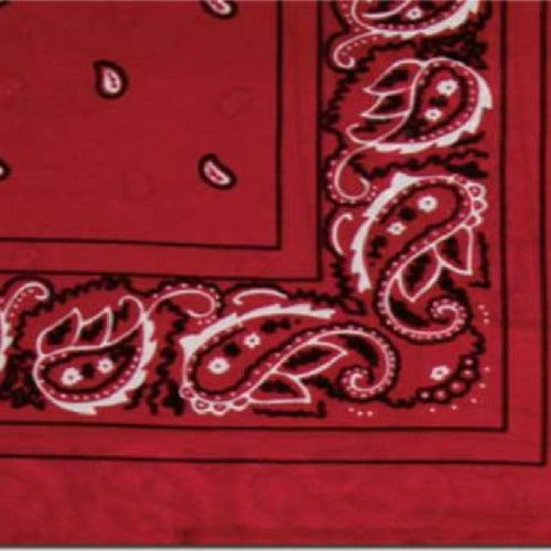 20" Bandana Silk Wild Rag - Red