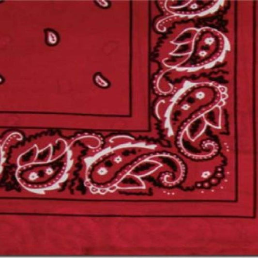 20" Bandana Silk Wild Rag - Red