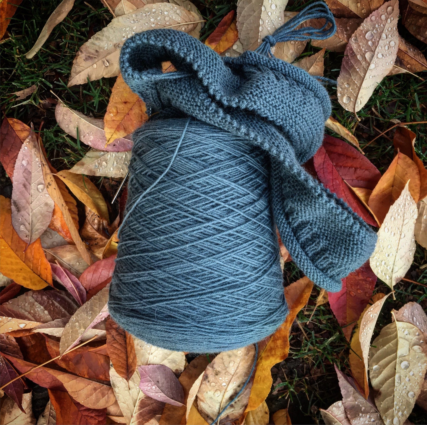Frangipani 5-ply Guernsey Yarn CORDOVA