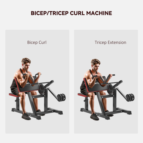SPORTNOW Adjustable Preacher Curl Bench with Elbow Cushion for Home Gym